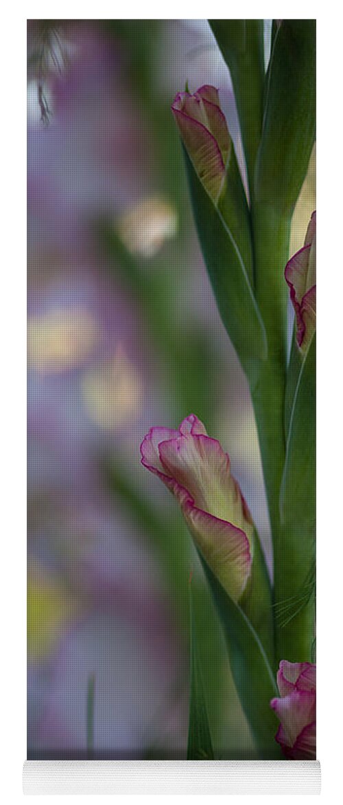 Snapdragons Yoga Mat featuring the photograph Stalk of Light by Mike Reid