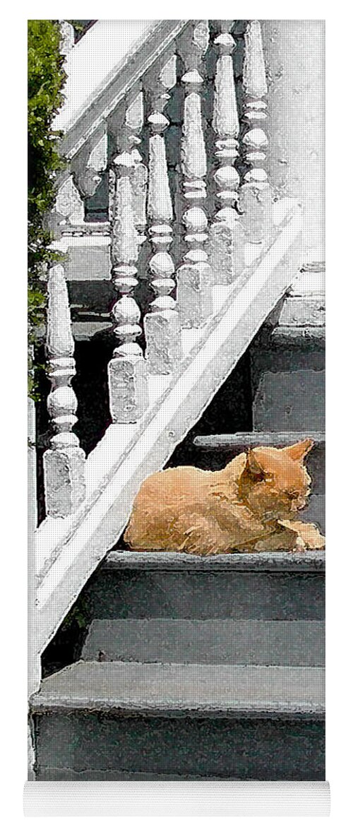 Stratford Ct Yoga Mat featuring the photograph Stratford Cat Nap by Melissa A Benson
