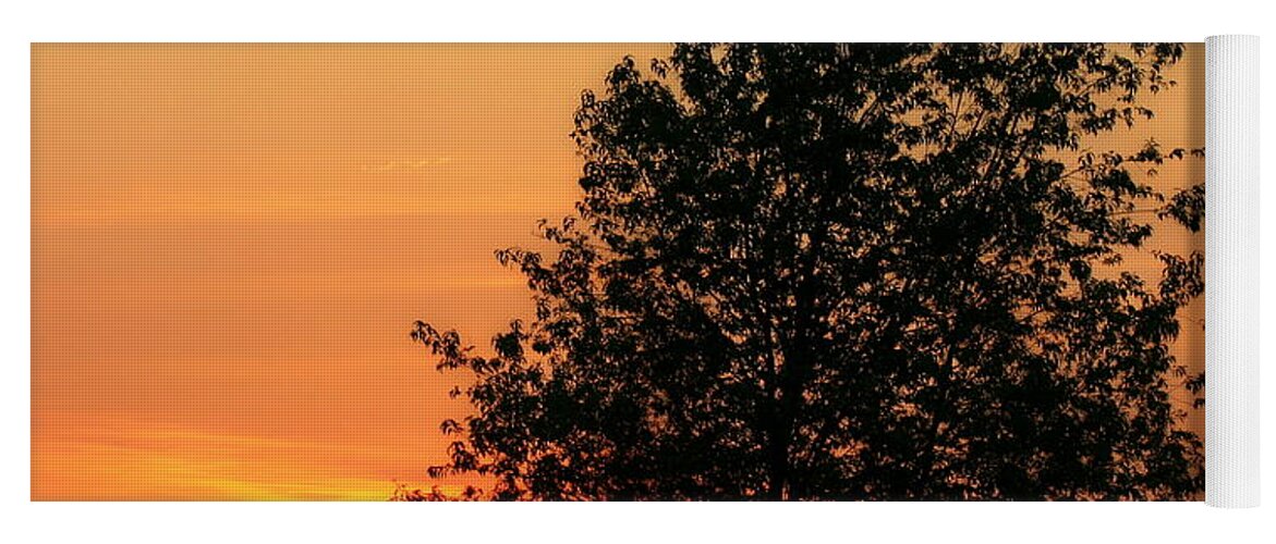 Biophilic Yoga Mat featuring the photograph Square Photograph of a Fiery Orange Sunset and Tree Silhouette by Angela Rath