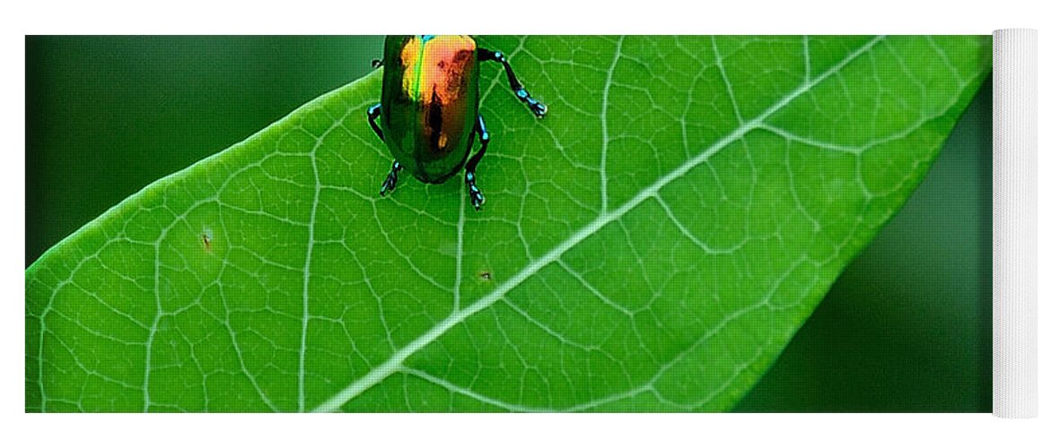 Beetle Yoga Mat featuring the photograph Technicolor Beetle 1 by Mark Fuller