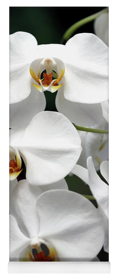 Orchids Yoga Mat featuring the photograph The Beauty of Orchids by Ken Frischkorn