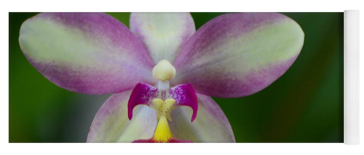 Orchid Yoga Mat featuring the photograph The Edison Orchid by Melanie Moraga