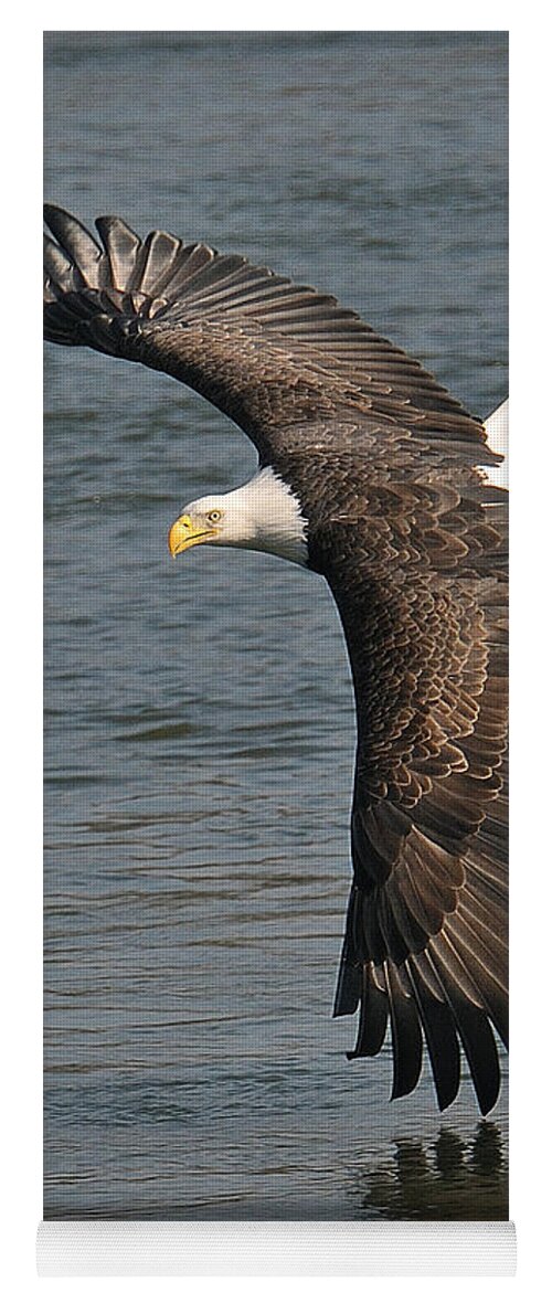 Bald Eagle Yoga Mat featuring the photograph The Hunt by Craig Leaper