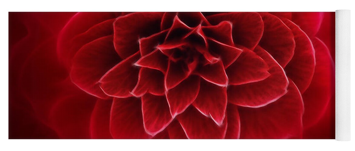 Red Camellia Yoga Mat featuring the photograph The Queen of seduction by Danuta Bennett