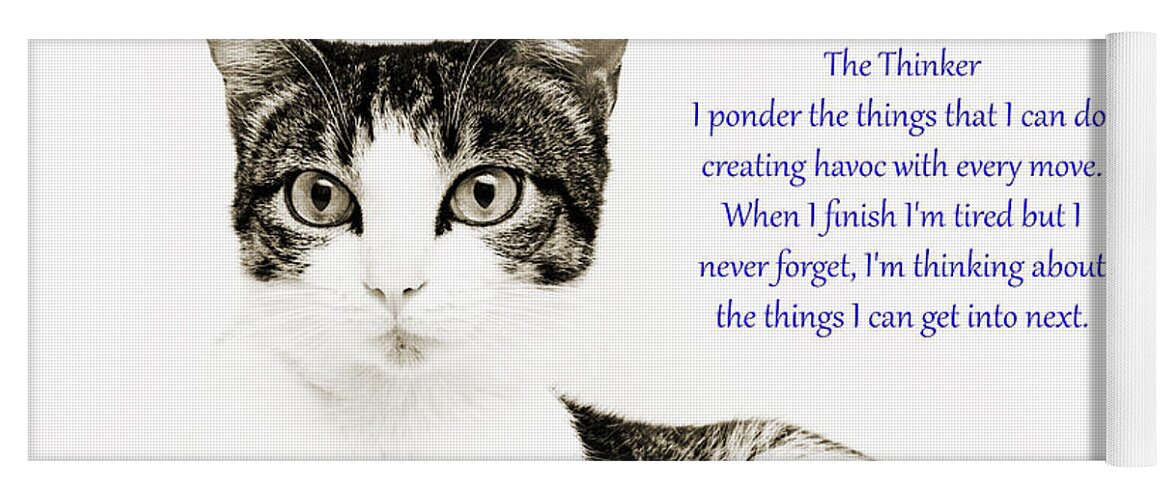 Fine Art Cat Yoga Mat featuring the photograph The Thinker Blue by Andee Design