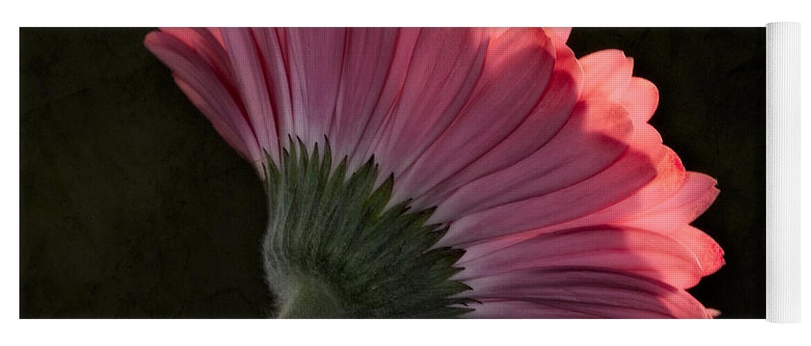 Gerbera Yoga Mat featuring the photograph There Is Always Two Sides by Susan Candelario