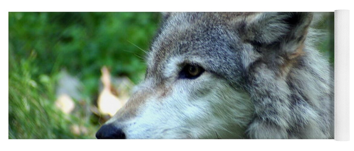 Timber Wolf Yoga Mat featuring the photograph Timber Wolf by Laurel Talabere