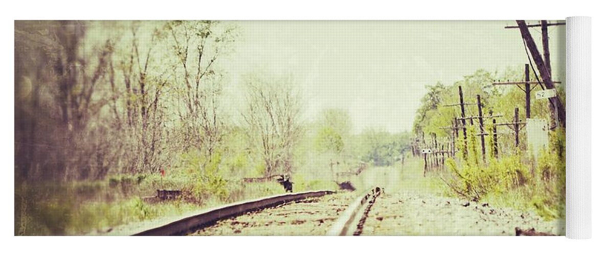 Railway Yoga Mat featuring the photograph Tracking by Traci Cottingham