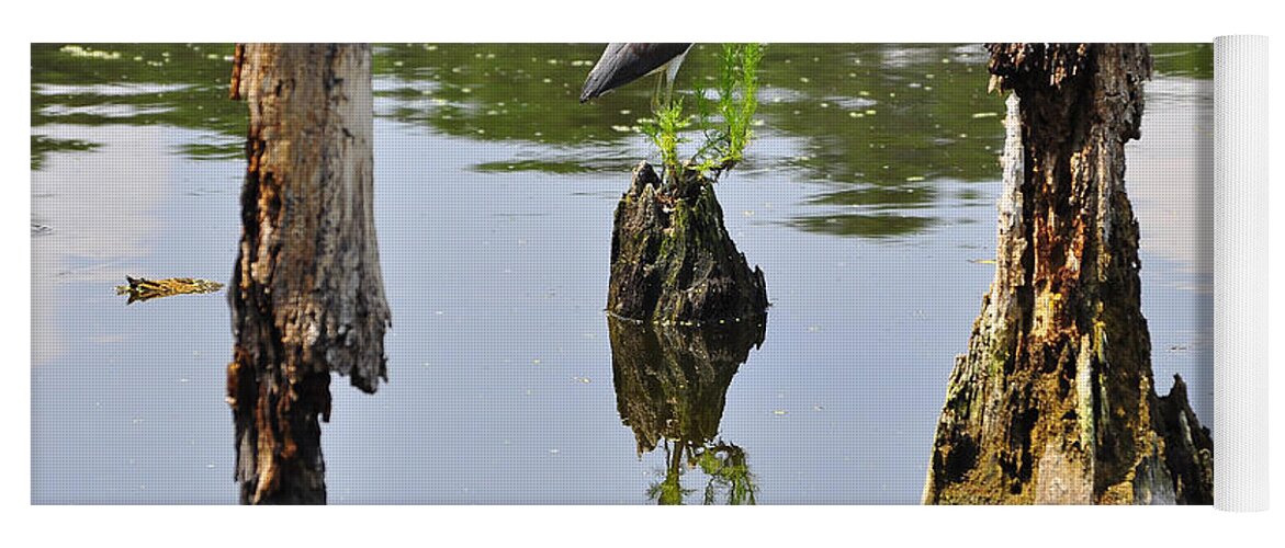 Heron Yoga Mat featuring the photograph Tricolored Reflection by Al Powell Photography USA