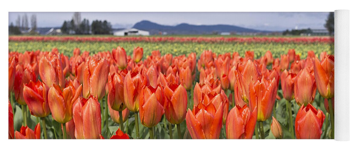 Tulip Yoga Mat featuring the photograph Tulips by Priya Ghose
