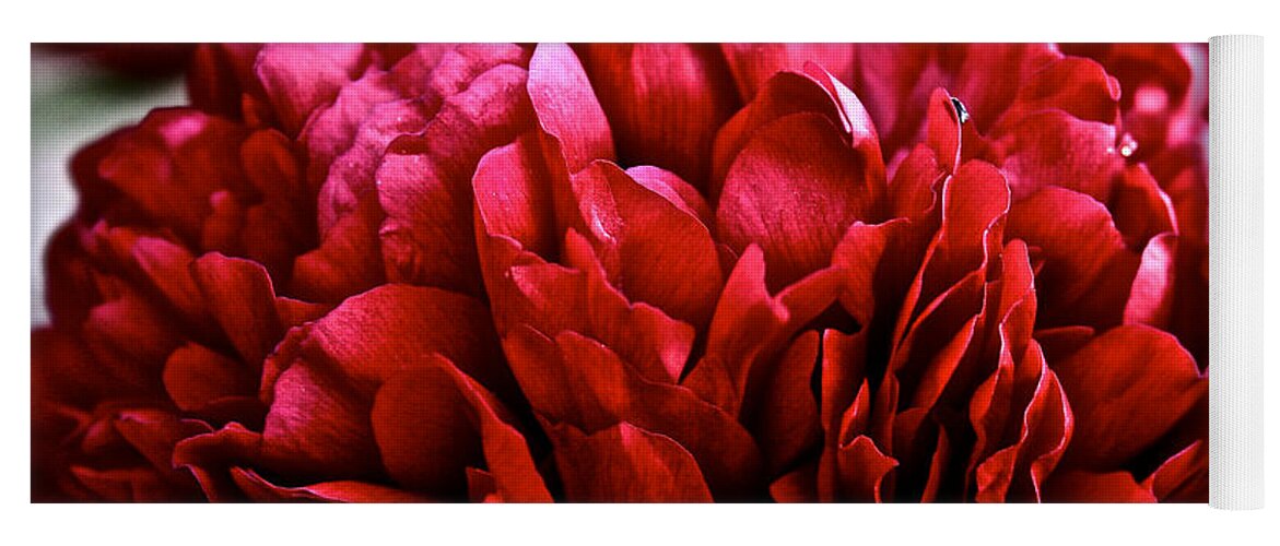 Plant Yoga Mat featuring the photograph Vivid Red by Susan Herber