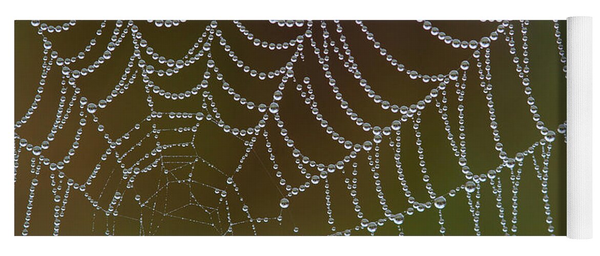  Yoga Mat featuring the photograph Web With Dew by Daniel Reed