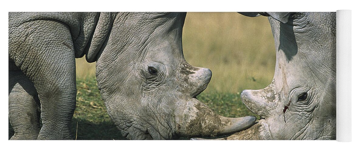 Flpa Yoga Mat featuring the photograph White Rhinoceros Ceratotherium Simum by Martin Withers
