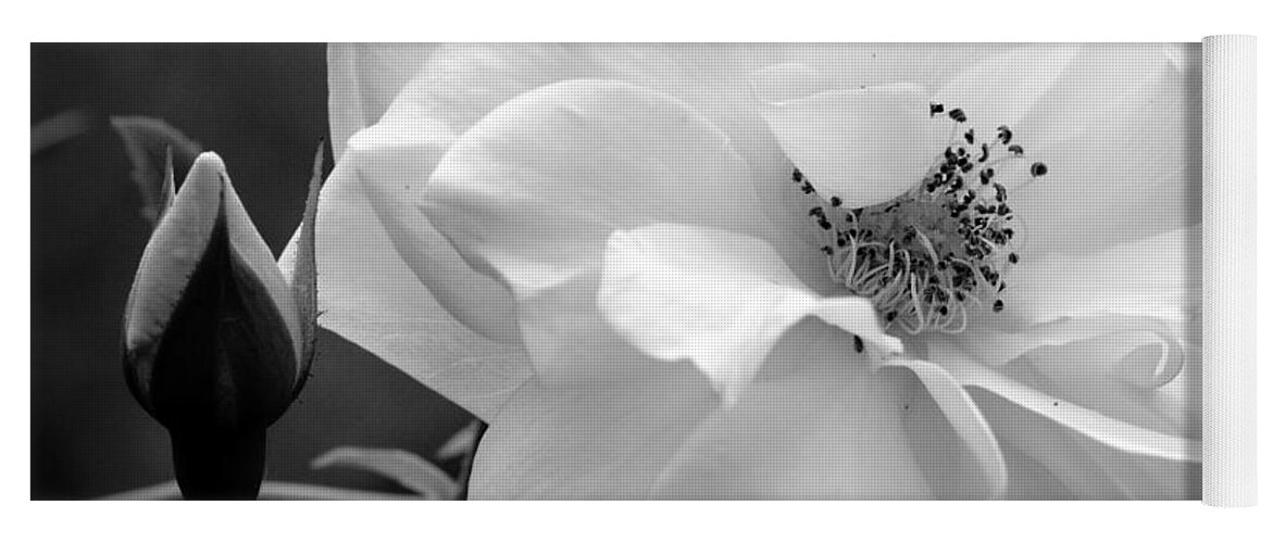 Black And White Yoga Mat featuring the photograph White Rose #1 by Michelle Joseph-Long