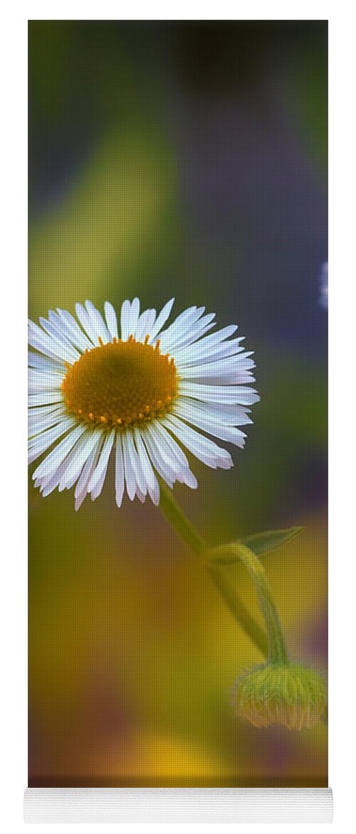 Aster Yoga Mat featuring the photograph White Wildflower on Pastels by Bill and Linda Tiepelman