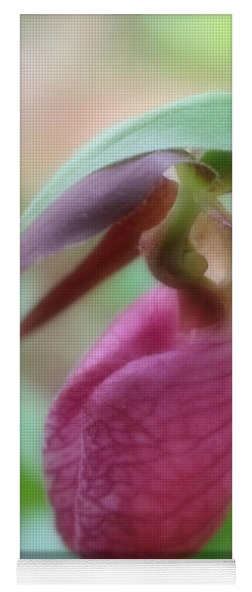 Orchid Yoga Mat featuring the photograph Wild Pink Lady Slipper Orchid by Smilin Eyes Treasures
