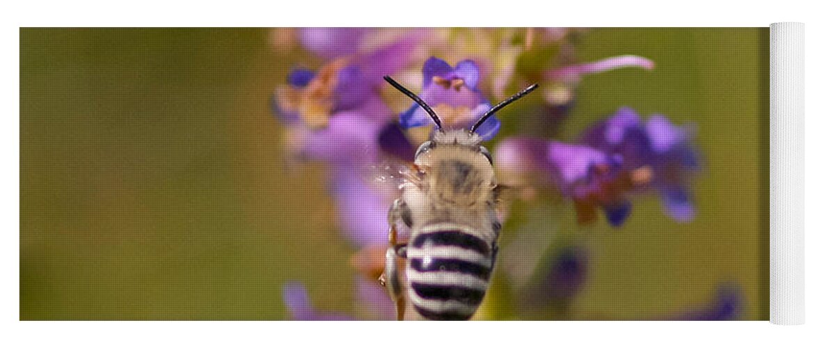 Bee Yoga Mat featuring the photograph Worker Bee by Mitch Shindelbower