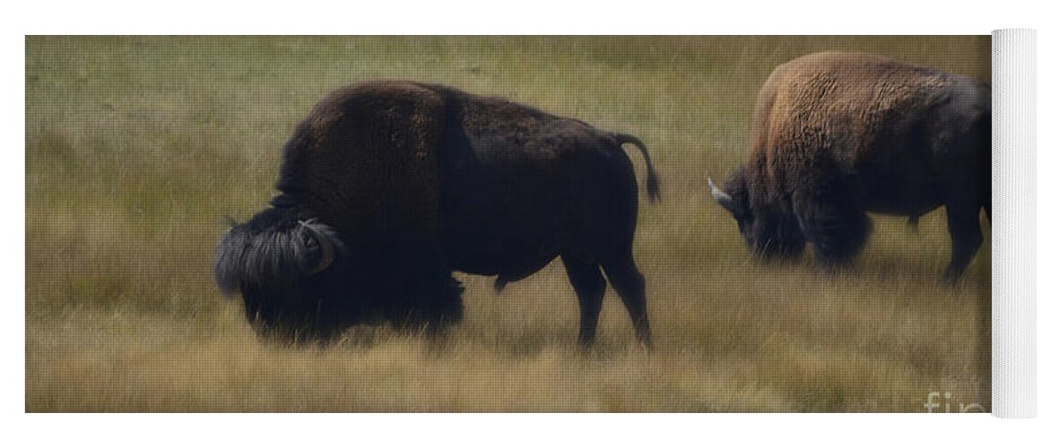 Nature Yoga Mat featuring the photograph Wyoming Buffalo by Donna Greene