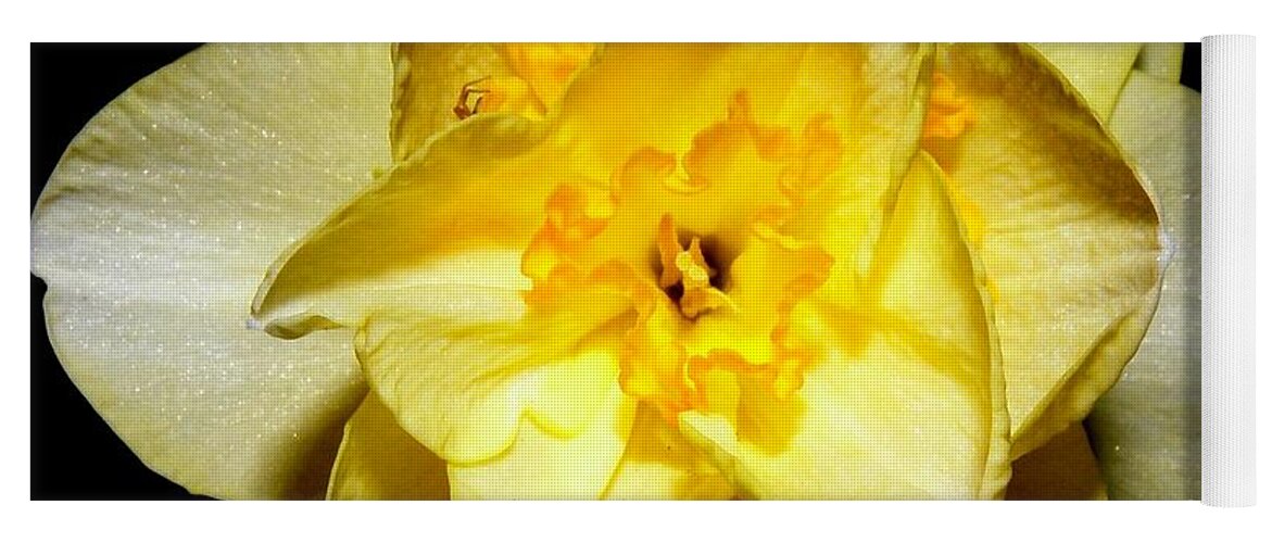 Yellow Yoga Mat featuring the photograph Yellow Dream by Kim Galluzzo Wozniak