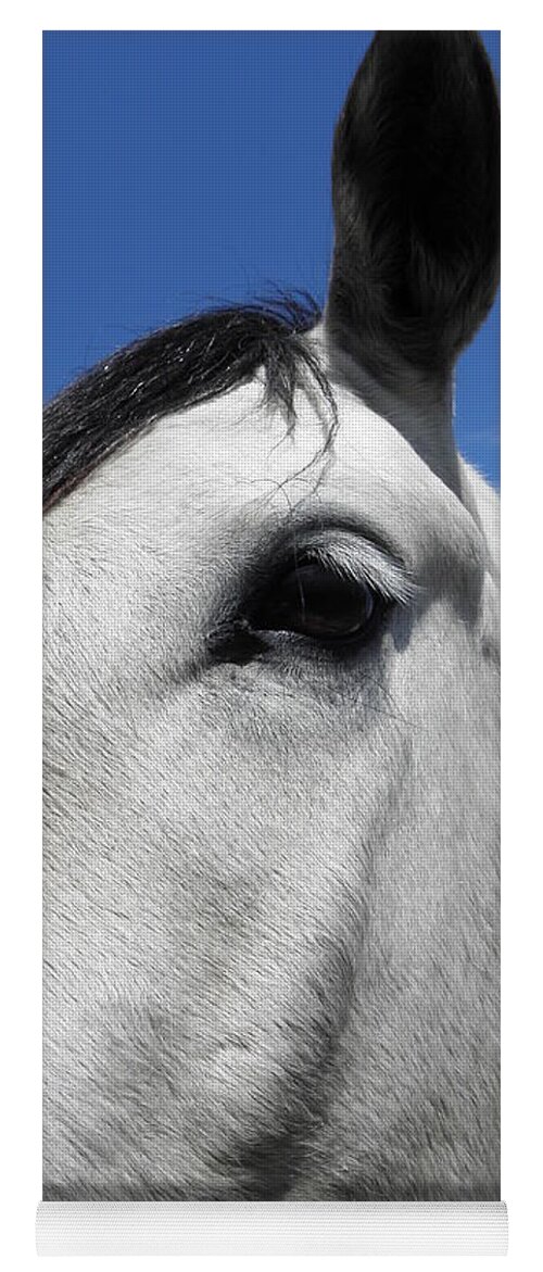 Horse Yoga Mat featuring the photograph You Lookin At Me by Kim Galluzzo