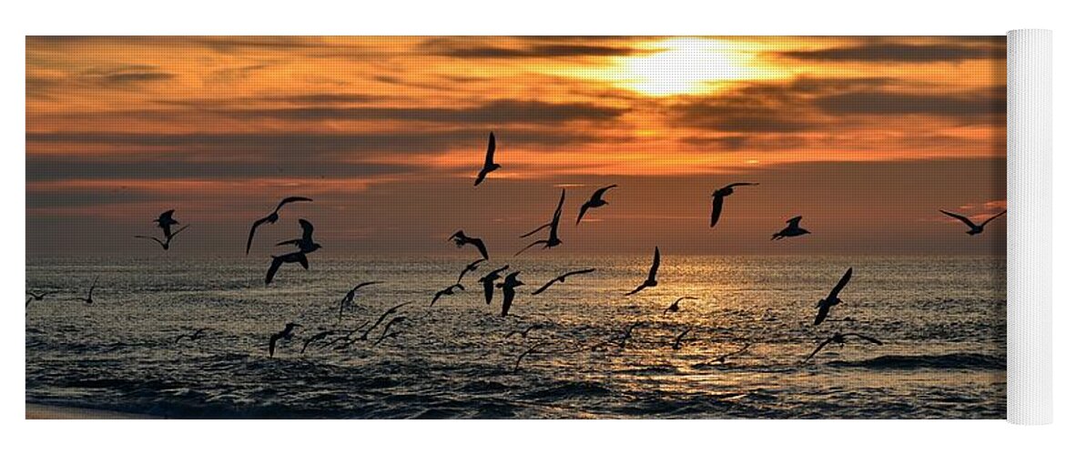 20120221 Yoga Mat featuring the photograph 0221 Gang of Gulls at Sunrise on Navarre Beach by Jeff at JSJ Photography
