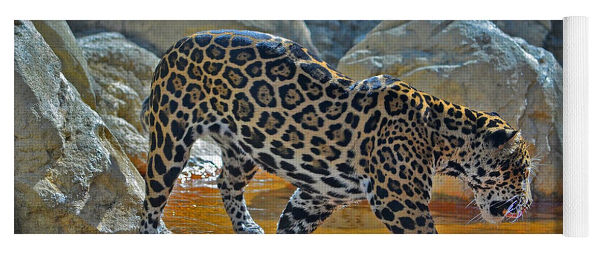  Jaguar Yoga Mat featuring the photograph 44- Jaguar #1 by Joseph Keane