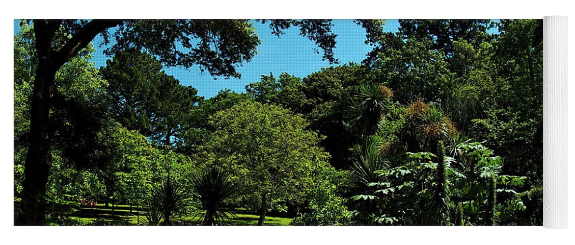 Gardens Yoga Mat featuring the photograph Abbotsbury Gardens #1 by Richard Denyer