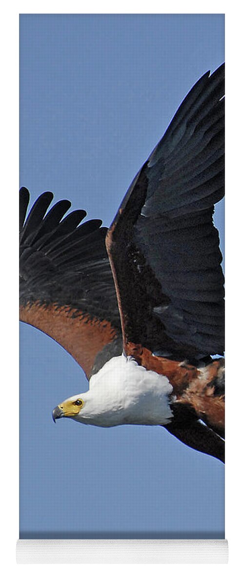 Africa Yoga Mat featuring the photograph African Fish Eagle by Ted Keller