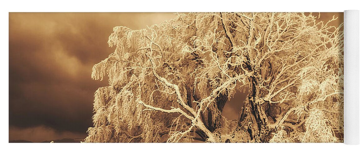 Ice Storm Yoga Mat featuring the photograph After The Ice Storm #1 by Mountain Dreams
