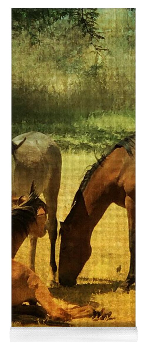 Wild Mustangs Yoga Mat featuring the photograph Afternoon Siesta #2 by Barbara Zahno