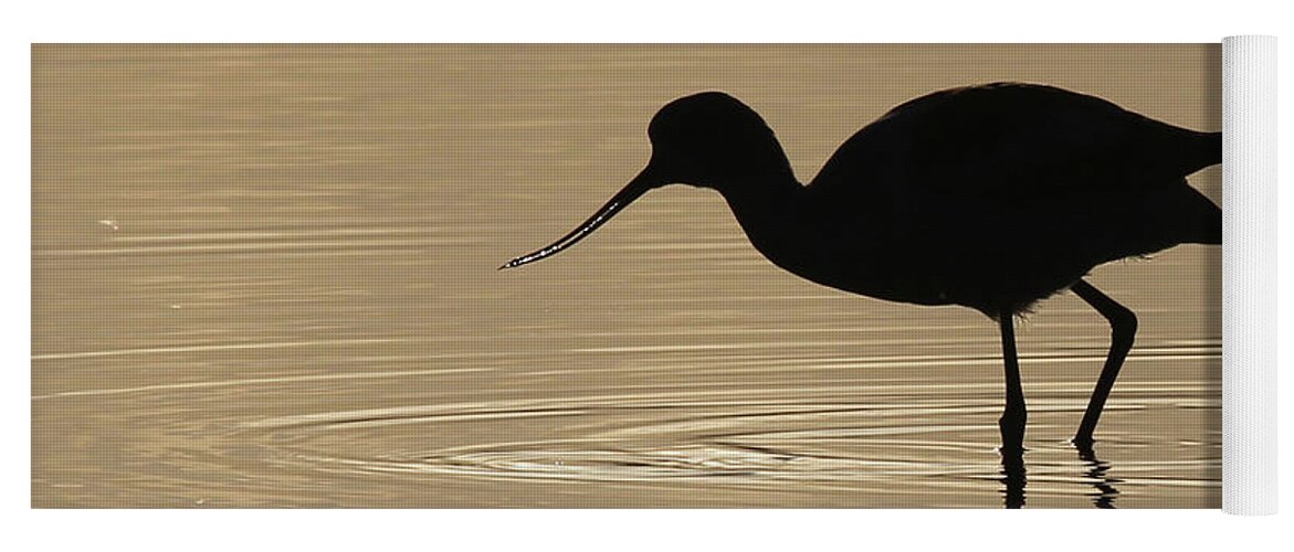American Avocet Yoga Mat featuring the photograph American Avocet #2 by Meg Rousher