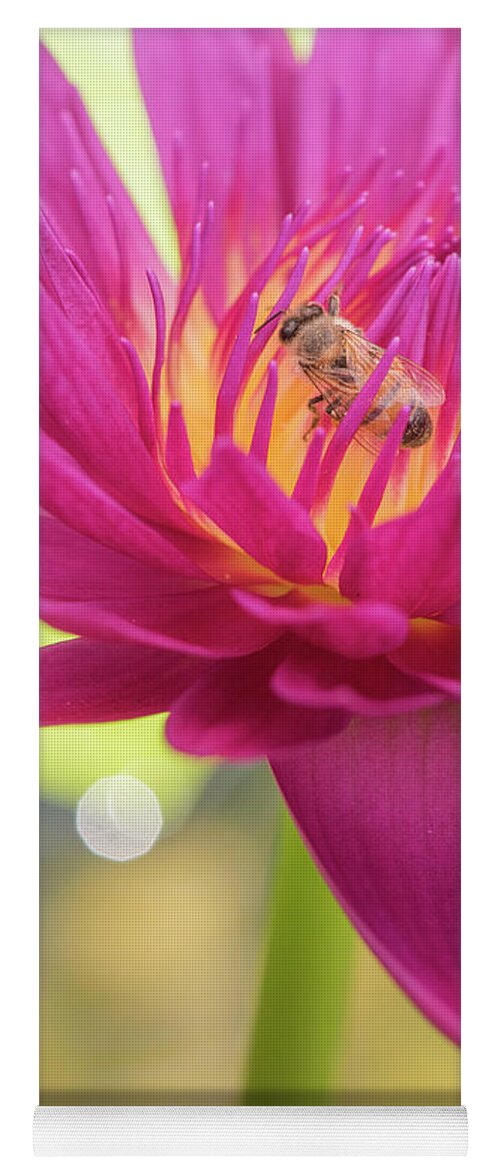 Lily Yoga Mat featuring the photograph Attraction. by Usha Peddamatham