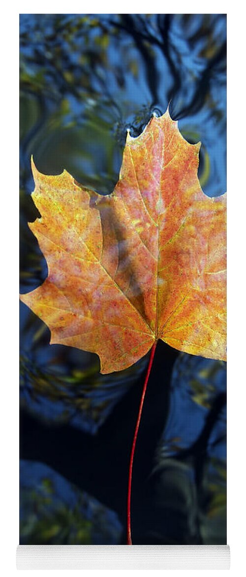 Leaf Yoga Mat featuring the photograph Autumn Leaf On The Water #1 by Michal Boubin
