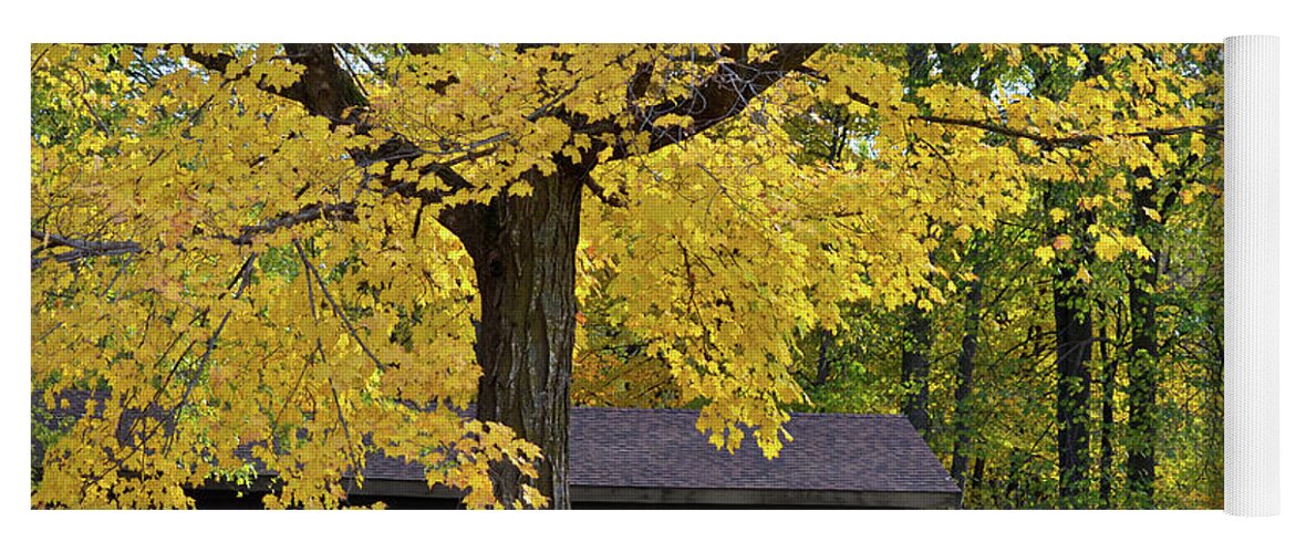 Maple Yoga Mat featuring the photograph Beautiful Day #1 by Deb Halloran