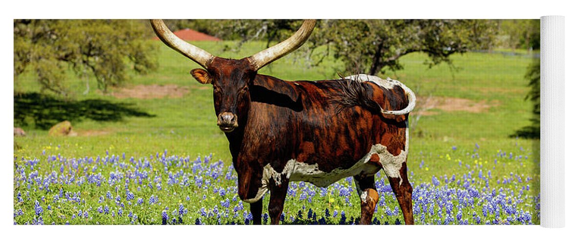 African Breed Yoga Mat featuring the photograph Beautiful longhorn bull by Raul Rodriguez