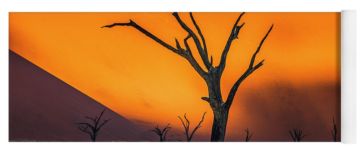 Deadvlei Yoga Mat featuring the photograph Beauty lives forever. #2 by Usha Peddamatham