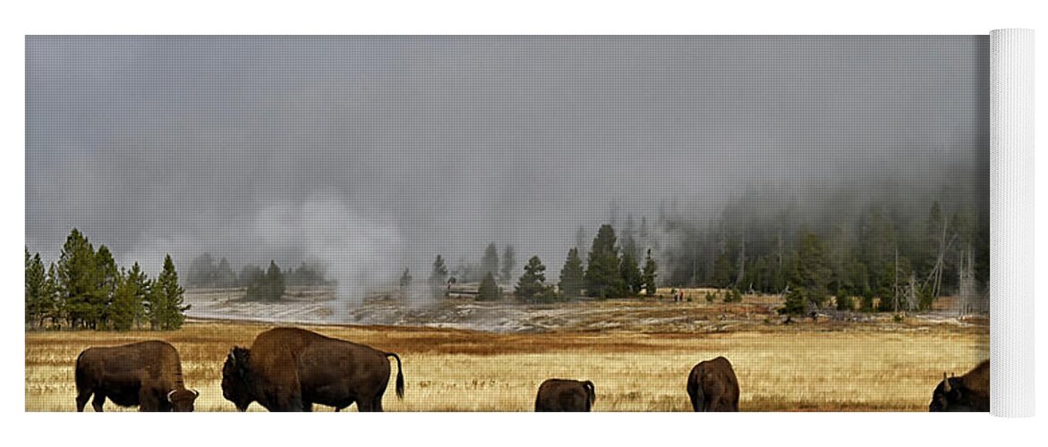 Shirley Mitchell Yoga Mat featuring the photograph Bison at Old Faithful #1 by Shirley Mitchell