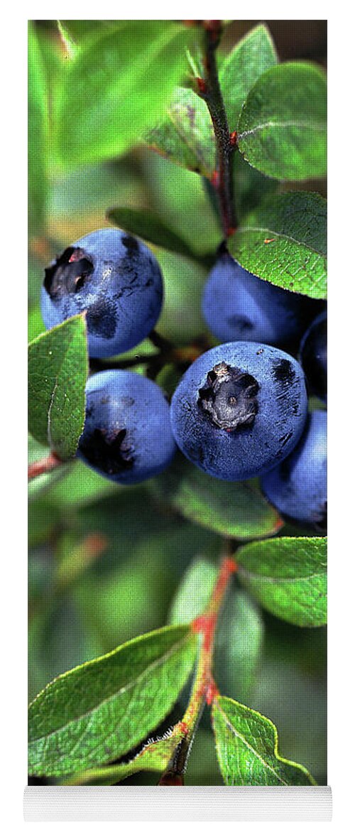 Wild Berries Yoga Mat featuring the photograph Blueberries #1 by Bill Morgenstern