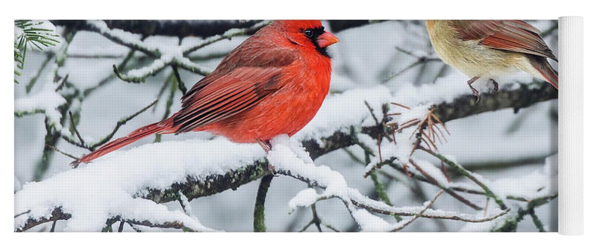 Cardinals In The Snow Yoga Mat featuring the photograph Cardinal Couple #1 by Peg Runyan