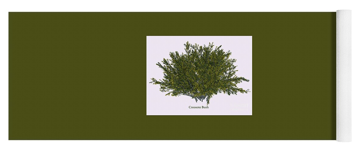 3d Illustration Yoga Mat featuring the digital art Creosote Bush #2 by Corey Ford