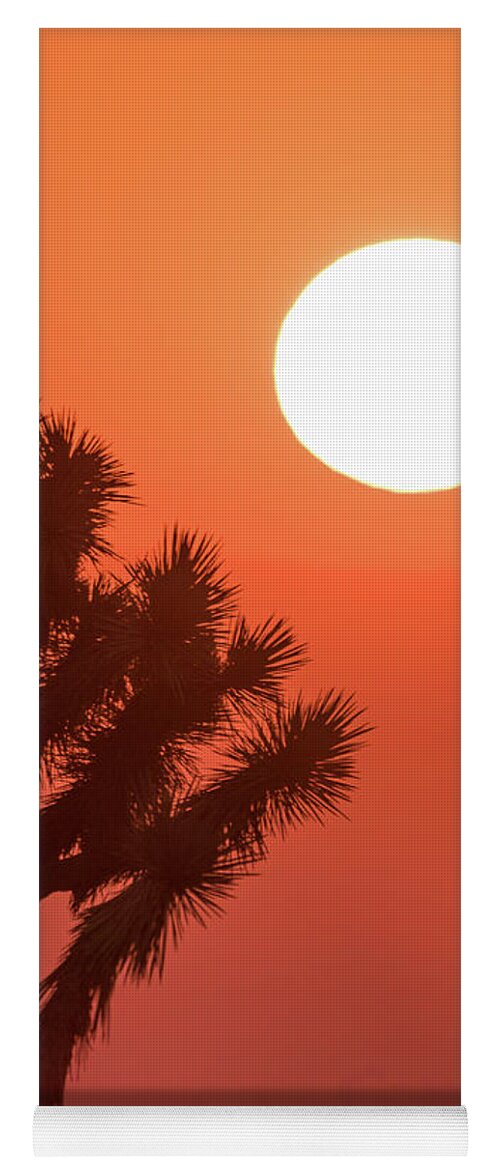 Tree Yoga Mat featuring the photograph Desert Sunrise by Vincent Bonafede
