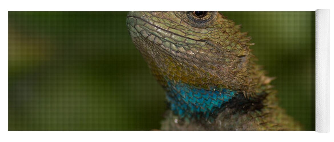 Sceloporus Yoga Mat featuring the photograph Emerald Swift 2 #1 by Shawn Jeffries