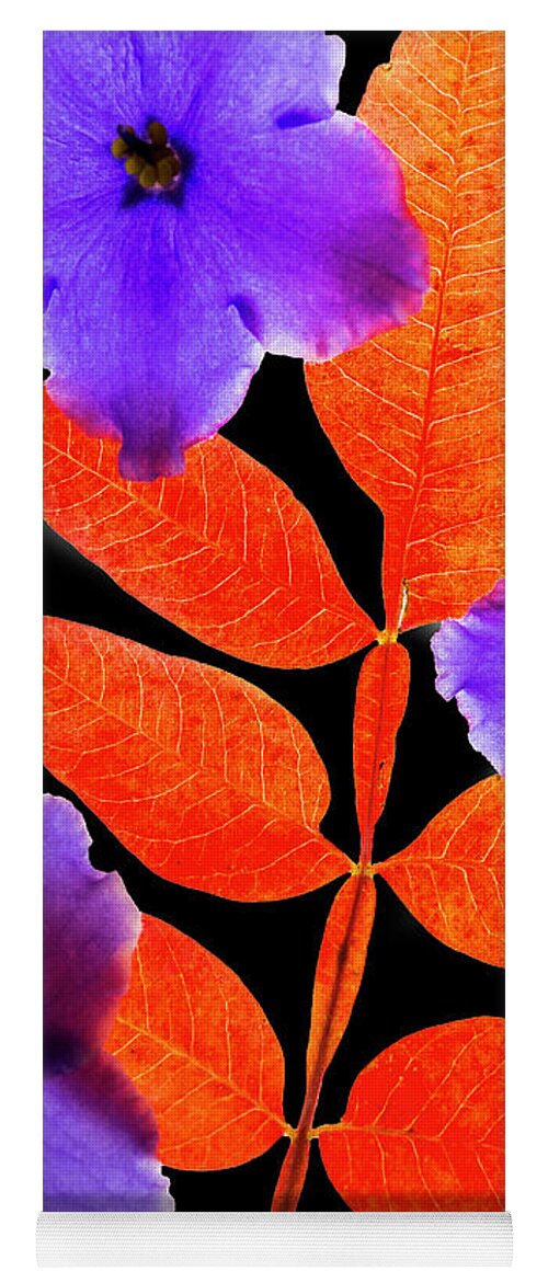 2017-11-18 Yoga Mat featuring the photograph Fall Leaves #1 by Phil And Karen Rispin