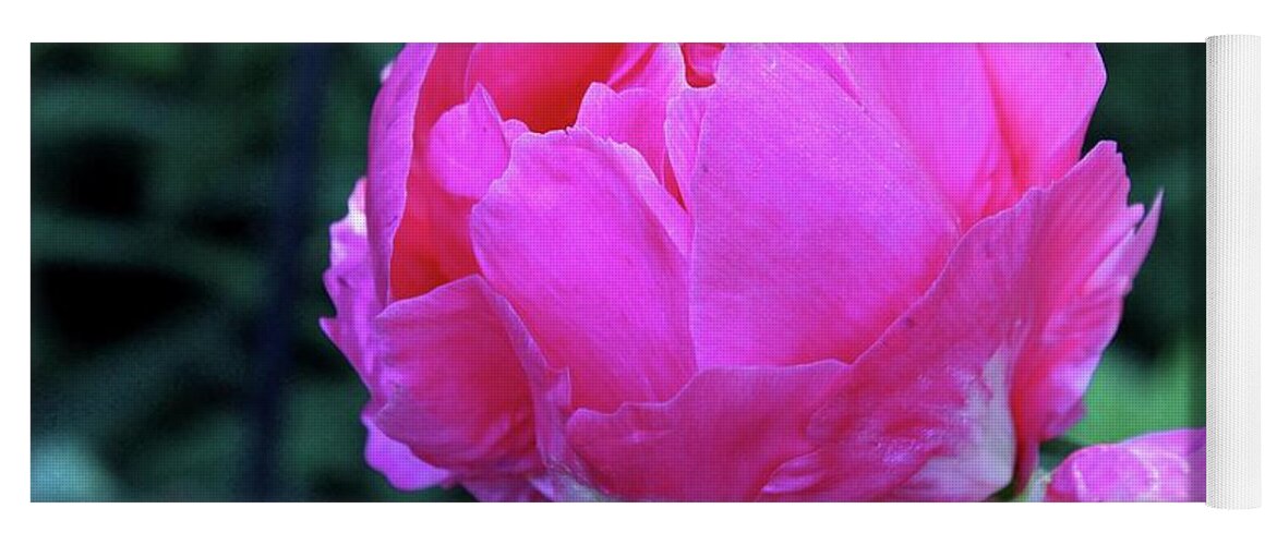 Peony Yoga Mat featuring the photograph Falling for a Fairytale #1 by Michiale Schneider