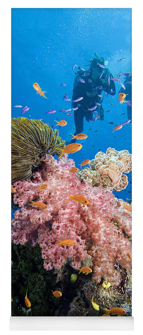 Alcyonarian Yoga Mat featuring the photograph Fiji Underwater #1 by Dave Fleetham - Printscapes