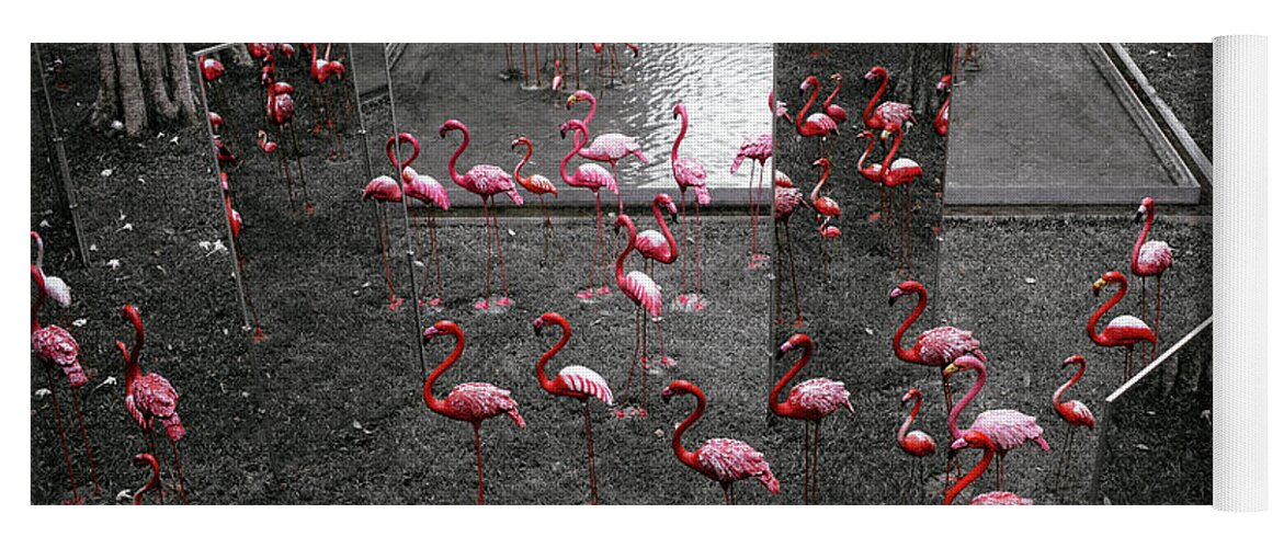B&w Yoga Mat featuring the photograph Flamingo #1 by Setsiri Silapasuwanchai