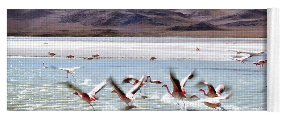 Flying Flamingos Yoga Mat featuring the photograph Flying Flamingos by Sandy Taylor