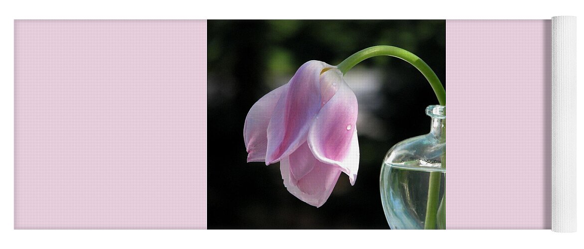 Pink Tulips Yoga Mat featuring the photograph Forlorn #3 by Angela Davies