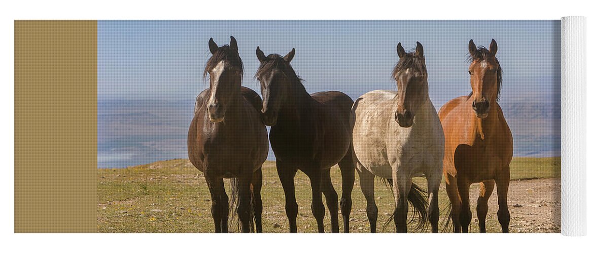 Mark Miller Photos Yoga Mat featuring the photograph The Four Amigos Wild Stallions by Mark Miller