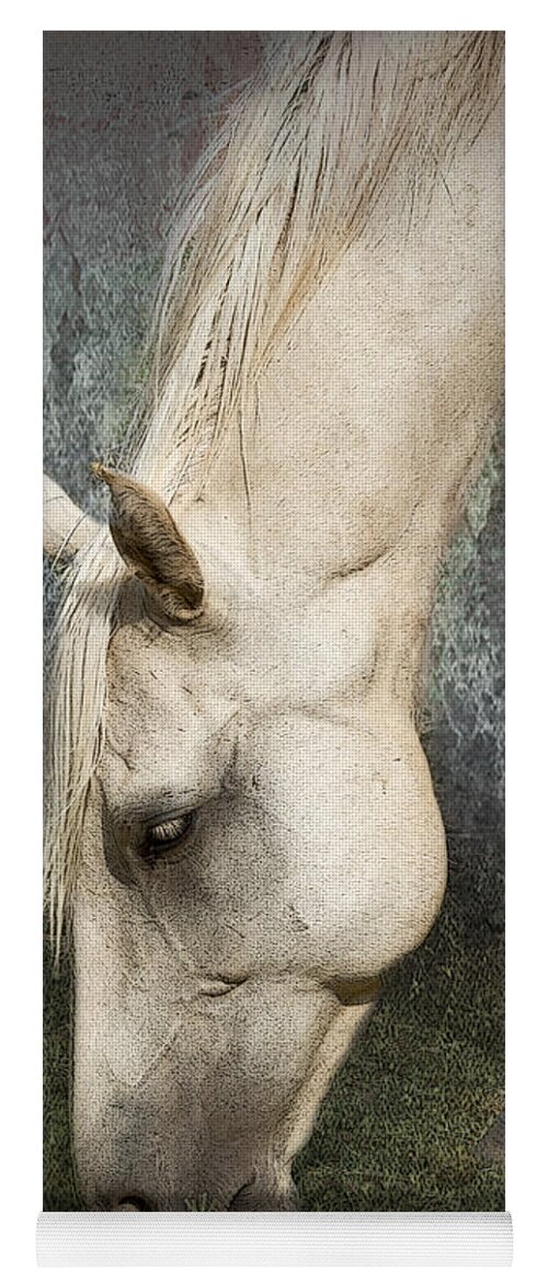 Horse Yoga Mat featuring the photograph Grazing #1 by Betty LaRue